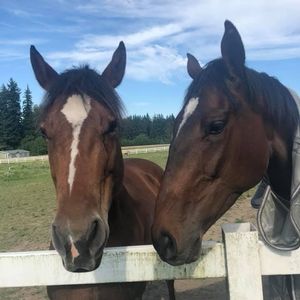 Meet your Posher, Niki